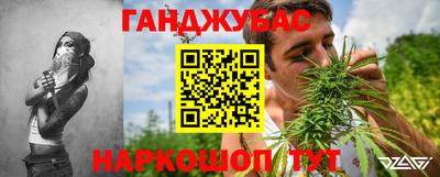 прущие крисы Партизанск