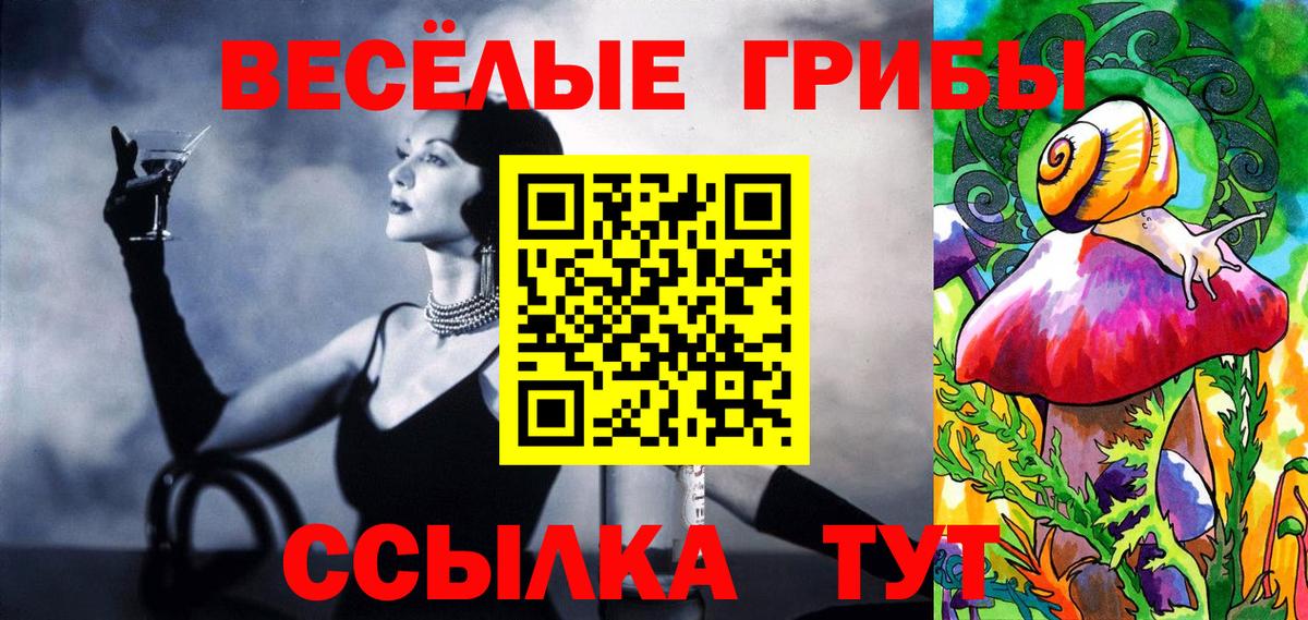 Псилоцибиновые грибы MAGIC MUSHROOMS  Вход с VPN  Подольск 