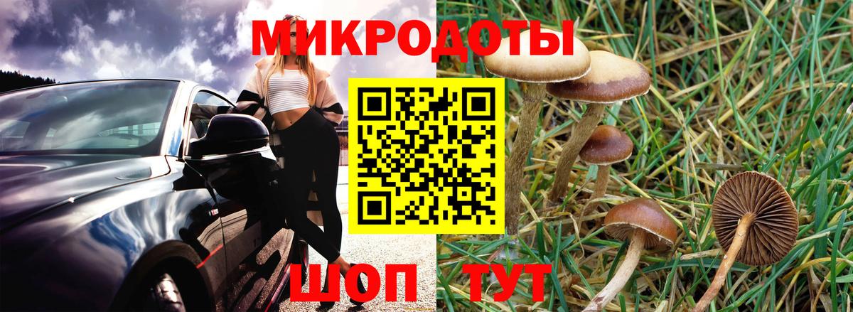 Галлюциногенные грибы GOLDEN TEACHER Подольск